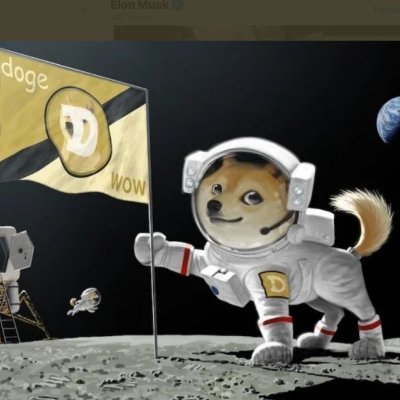 TDOGE makes everyone's income better.