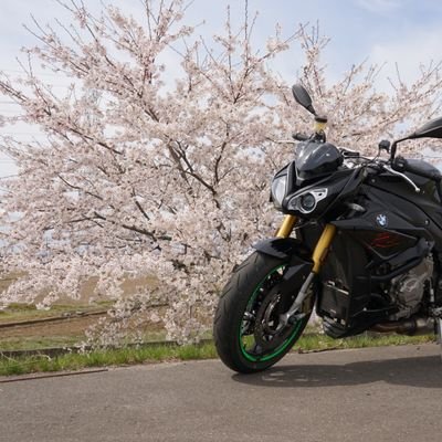 5autech44's profile picture. 