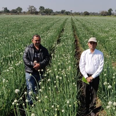 Agriculture Scientist, innovation new technology and develop better crop varieties to perform better with good yield and enhance the benifit of farmers.
