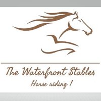 The Waterfront Stables(@thekarenhorses) 's Twitter Profile Photo