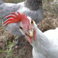 Jajajajajaja (@jajejijojuas) 's Twitter Profile Photo Jajajajajaja (@jajejijojuas) 's Twitter Profile Photo