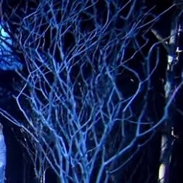 phosphorus_07's profile picture. I’m not a posporo