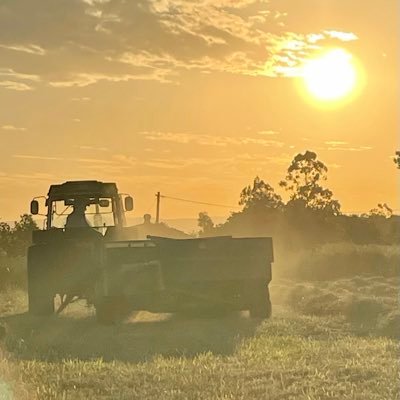 Farmer, Cabinetmaker, Opinionated, Political Enthusiast, Doesn’t suffer fools, Opinionated, Lawn Bowls, LEGO 😉.....oh did I mention Opinionated?? 😬