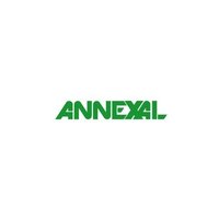 Annexal(@Annexal_Digital) 's Twitter Profile Photo