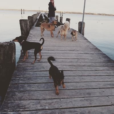 FuchsWhat's profile picture. spoonie -
Politics, Pumpen, Mental Health -

no pronouns