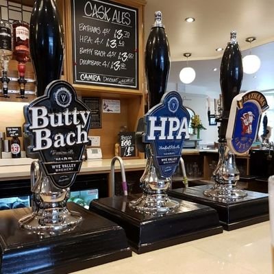 Darcy21814809's profile picture. 