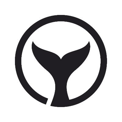 OrcaX is a charity token, 3% of every TX is sent directly to the Binance Charity fund, 3% is burned and 2% is redistributed to holders.
https://t.co/shMsAIz0rx