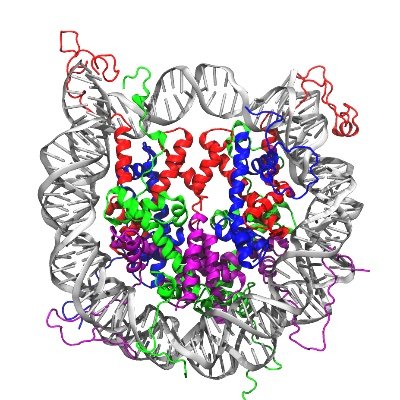 We're a biophysics group at @illinoistech studying proteins, DNA, and whatever else we find interesting with the help of computers, coffee, and a little physics