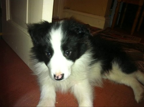 jamie4457's profile picture. 