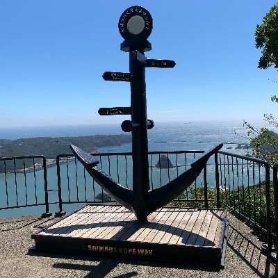 chitosemidori74's profile picture. 情報収集･応募メインです