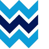 Women Cyber Force (@womencyberforc1) 's Twitter Profile