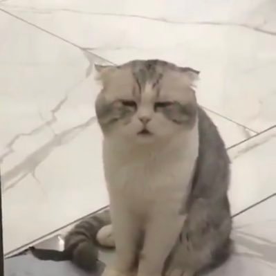 pen_arai's profile picture. 💩