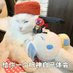 大灰猫 (@j1okej2pqs8okyu) Twitter profile photo 大灰猫 (@j1okej2pqs8okyu) Twitter profile photo