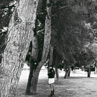 Paula 🧣 (@amesofadreamer) 's Twitter Profile