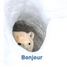 BearBonjour's profile picture. Big Daddy Bonjour 🤌🏼