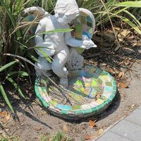 Marcia S Newman (@marciasgreen) 's Twitter Profile Photo