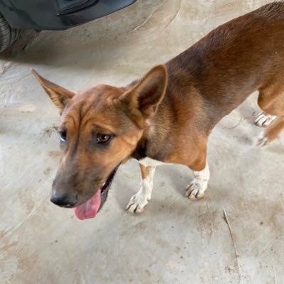 V51824806's profile picture. ลองเล่น