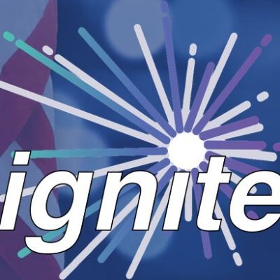 IgniteIT_LLC's profile picture. Passion and Purpose. We are a start-up borne out of a group of engineers providing transformative digital solutions to the Public and Private Sector.