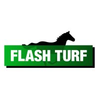 Flash Turf(@FlashTurf) 's Twitter Profile Photo