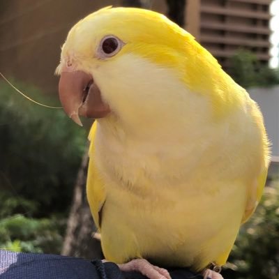 kzchanさんのプロフィール画像