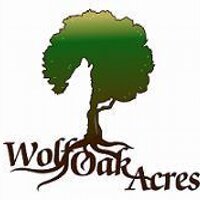 Wolf Oak Acres(@wolfoakacres) 's Twitter Profile Photo