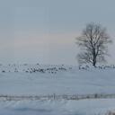 Greg Cormier - @Grizzly29 - Twitter