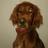 BB276's profile image