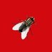 bromvliegeffect (@bromvliegeffect) Twitter profile photo bromvliegeffect (@bromvliegeffect) Twitter profile photo