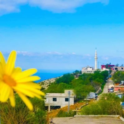 Hatay691's profile picture. Eskiden öğretmen idi