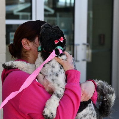 A small group of volunteers are working to help asylum seekers who adopted a pet during their time in MPP and need assistance bringing their pet to the U.S.