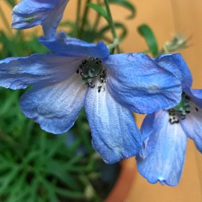 HardToWalk's profile picture. 暴飲暴食推奨民(Grok談)