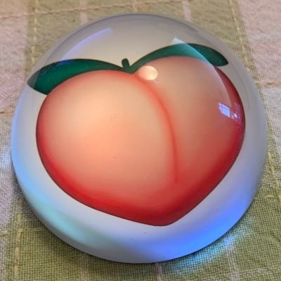 bunnybela's profile picture. I am not bound to please thee with my answer -William Shakespeare