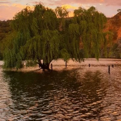 DauriaVanina's profile picture. 