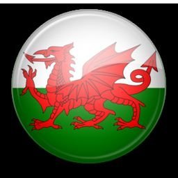 welshsprite's profile picture. 