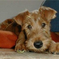 Philippe / Flup vdvr.πππππ (@flup_vdvr) 's Twitter Profile
