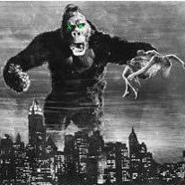 XRPKingKong Profile Picture