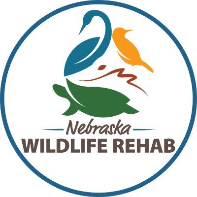 Rehabilitating more than 7k animals annually for return to the wild; educating all about wildlife & wild spaces & how to live in harmony with wildlife