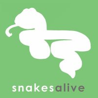 snakes alive(@SnakesAliveUK) 's Twitter Profile Photo