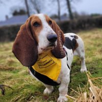 jaybee rivero (@jaybee_rivero) 's Twitter Profile