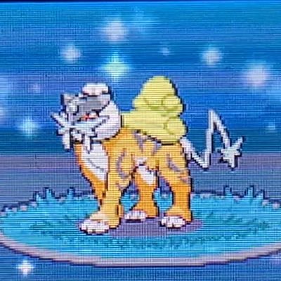 Shiny hunter since 2018, mainly HGSS. 16 hunted full odds shinies: https://t.co/V7WYGgMw6f