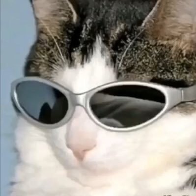 Mehak91770268's profile picture. I like food, music and celebrity drama 🏳️‍🌈