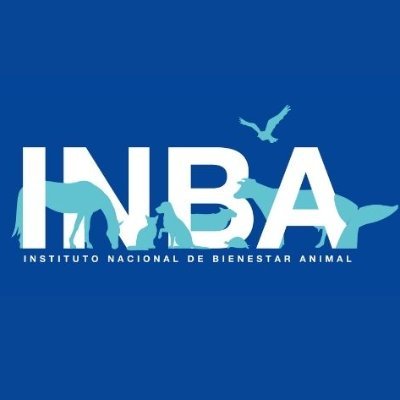 Cuenta oficial del Instituto Nacional de Bienestar Animal 🇺🇾