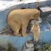 牧慎一郎(前天王寺動物園長、今の仕事は公園関係) (@lgguncir05itpgp) Twitter profile photo 牧慎一郎(前天王寺動物園長、今の仕事は公園関係) (@lgguncir05itpgp) Twitter profile photo