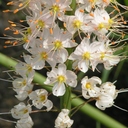 Julia Larson - @floatydress - Twitter