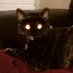 PiperPaws2 (@stevie412000) Twitter profile photo PiperPaws2 (@stevie412000) Twitter profile photo