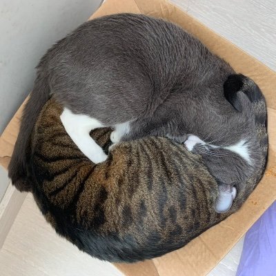 robertin_777's profile picture. Padre, marido y persona. Husmeando un poco por estos lares. RVCF 918. No necesito lecciones de nadie. Salvo de golf, que si las necesito (hcp 36). Hablemos