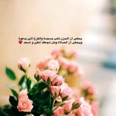 y5QV0WPJs2QfeE3's profile picture. 