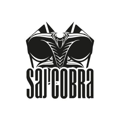 sajcobra's profile picture. Follow @dj_cobra