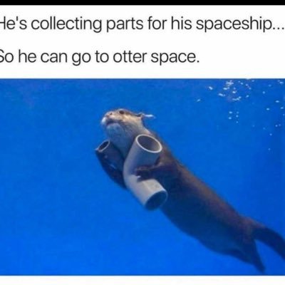 scottofotters's profile picture. I'm not always sarcastic. Sometimes, I'm sleeping.