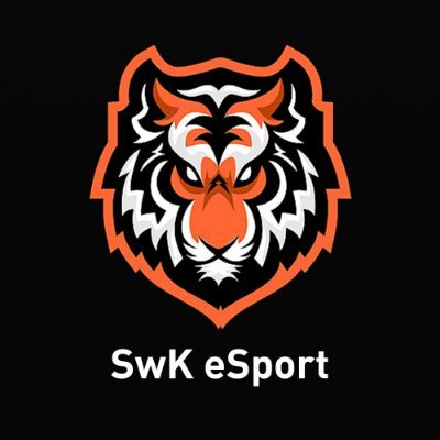 Professionelt eSport hold i CS:GO & FIFA
#SwingMedOs